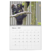 Lowland Gorillas, Zoo von Kansas Kalender (Feb 2027)