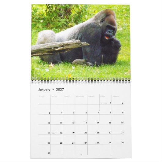 Lowland Gorillas, Zoo von Kansas Kalender (Jan 2027)