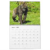 Lowland Gorillas, Zoo von Kansas Kalender (Mär 2027)