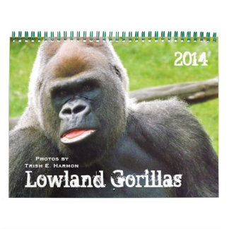 Lowland Gorillas, Zoo von Kansas Kalender