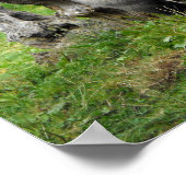 Lowland Poster (Ecke)