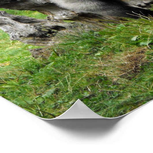 Lowland Poster (Ecke)