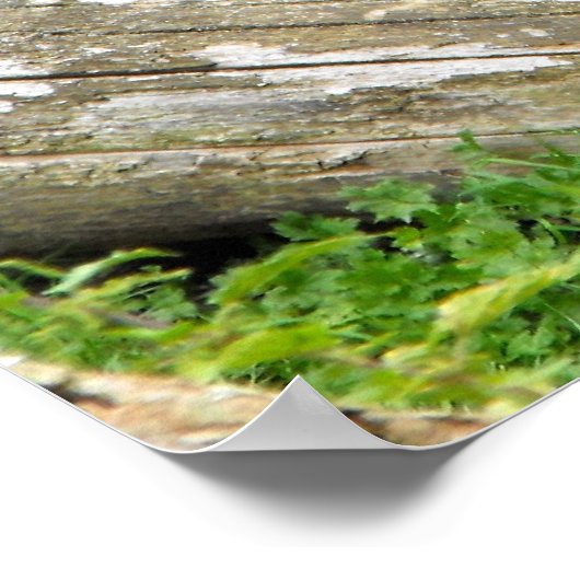 Lowland-Schlucht Poster (Ecke)