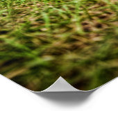 Lowmaster Rat Truck Poster (Ecke)