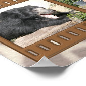 Lowry Park Zoo Poster (Ecke)