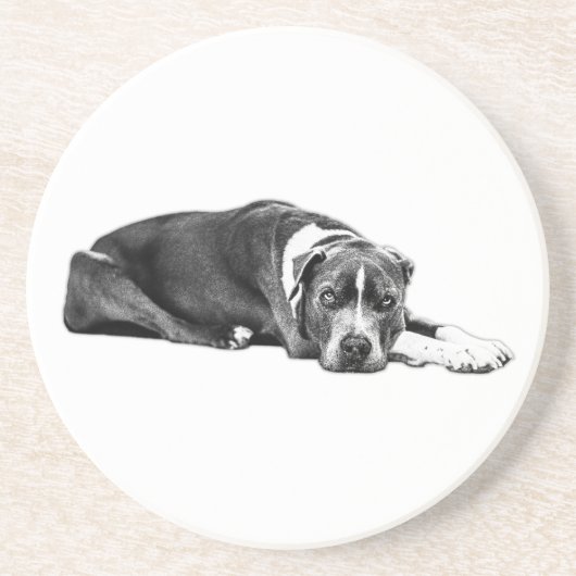 Loyal Companion Pitbull Mix Art Untersetzer (Vorne)