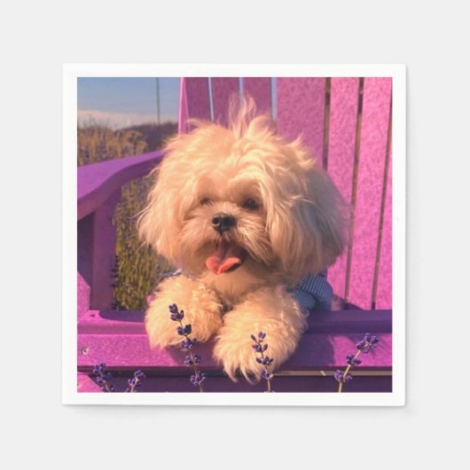Loyal, Fluffy Shih Tzu Toy Puppy, Happy Dog Sits Serviette (Vorderseite)