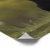 Loyal Friends Dog Photography Poster (Ecke)