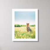 Loyal Gaze in the Meadow Leinwanddruck (Vorderseite)