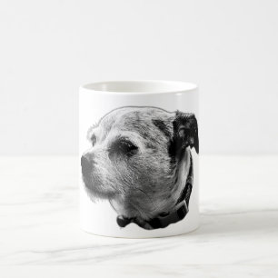 Loyal Gaze Terrier Mix Tasse