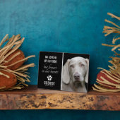 Loyal Hund nicht mehr von unserer Seite | FOTO Fotoplatte (Seite)