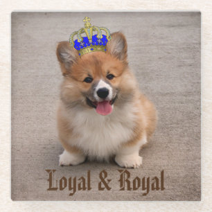 Loyal und Royal Corgi Puppy Foto Glasuntersetzer