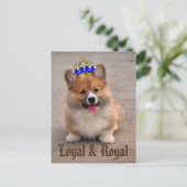 Loyal und Royal Corgi Puppy Postkarte (Stehend Vorderseite)
