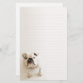 Loyale weiße Bulldogge gezeichnetes Schreibpapier Briefpapier (Vorne/Hinten)