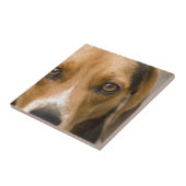 Loyaler Beagle-Jagdhund-Jagd-Hund Fliese (Seite)
