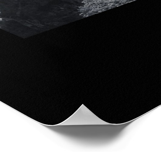 LOYALISIERUNG POSTER (Ecke)