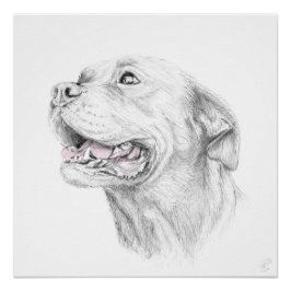 Loyalität, ein amerikanischer Staffordshire Terrie Poster