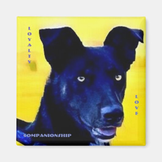 Loyalty Liebe Dog Face Magnet (Vorne)