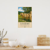 Lozère-Kühe Poster (Küche)