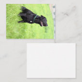 LR black lab sitting Mitteilungskarte (Vorne/Hinten)