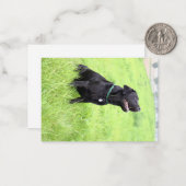 LR black lab sitting Mitteilungskarte (Vorderseite/Rückseite Beispiel)