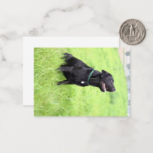 LR black lab sitting Mitteilungskarte (Vorderseite/Rückseite Beispiel)