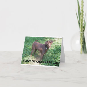 LR Chocolate-Labrador-Liebe mit Bild Karte