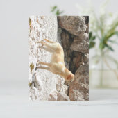 LR gelbe Labrador voll Dankeskarte (Stehend Vorderseite)