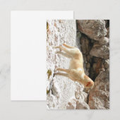 LR gelbe Labrador voll Dankeskarte (Vorne/Hinten)