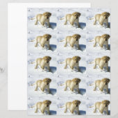 LR gelbe Labrador Welpe im Schnee (Vorne/Hinten)