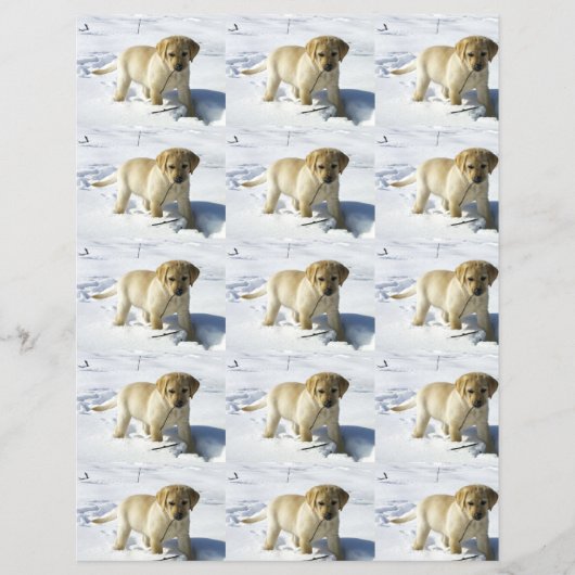 LR gelbe Labrador Welpe im Schnee (Vorderseite)