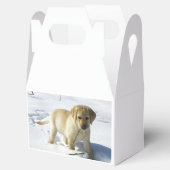 LR gelbe Labrador Welpe im Schnee Geschenkschachtel (Geöffnet)