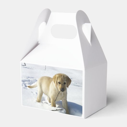 LR gelbe Labrador Welpe im Schnee Geschenkschachtel (Vorderseite)