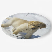 LR gelbe Labrador Welpe im Schnee Pappteller (Schrägansicht)