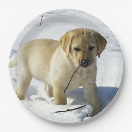 LR gelbe Labrador Welpe im Schnee Pappteller (Vorderseite)