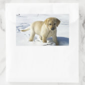 LR gelbe Labrador Welpe im Schnee Rechteckiger Aufkleber (Tasche)