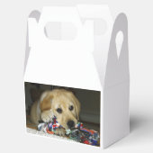 LR gelbe Labrador Welpe mit Spielzeug Geschenkschachtel (Geöffnet)