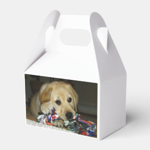 LR gelbe Labrador Welpe mit Spielzeug Geschenkschachtel