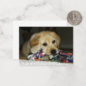 LR gelbe Labrador Welpe mit Spielzeug Mitteilungskarte (Vorderseite/Rückseite Beispiel)