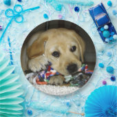 LR gelbe Labrador Welpe mit Spielzeug Pappteller (Party)