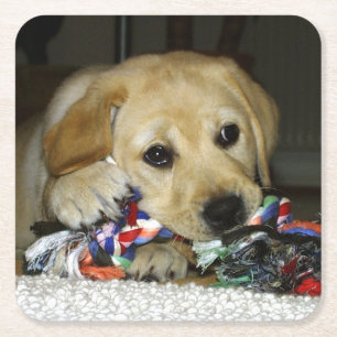 LR gelbe Labrador Welpe mit Spielzeug Rechteckiger Pappuntersetzer