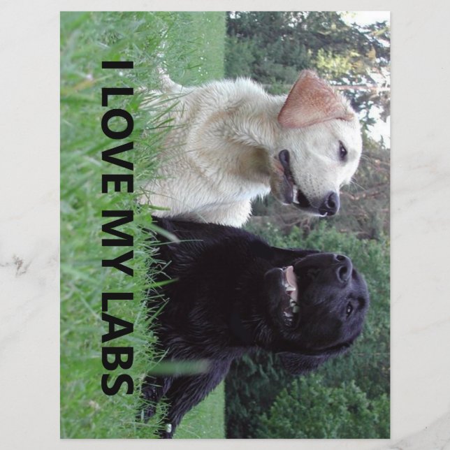 LR I Liebe meine Labradore mit Bild (Vorderseite)