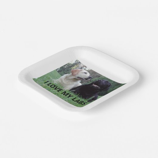 LR I Liebe meine Labradore mit Bild Pappteller (Gewinkelt)