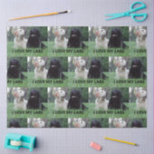 LR I Liebe meine Labradore mit Bild Seidenpapier (Basteln)