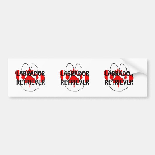 LR Name flatch paw Autoaufkleber (Vorne)