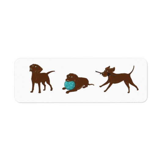 LR Schokolade Labrador Cartoon Strip (Vorne)