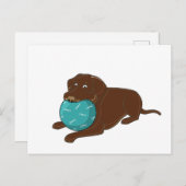 LR Schokolade Labrador Kaukugel Cartoon Postkarte (Vorne/Hinten)