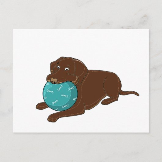 LR Schokolade Labrador Kaukugel Cartoon Postkarte (Vorderseite)