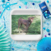 LR Schokolade Labrador Liebe mit Bild Pappteller (Party)