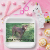 LR Schokolade Labrador Liebe mit Bild Pappteller (Party)